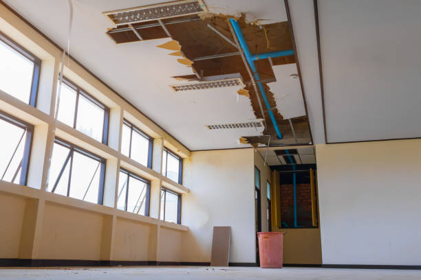 Best Flood damage cleanup  in Eagle Lake, FL