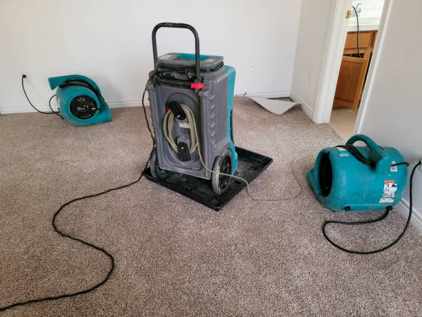 Best Water damage restoration near me  in Eagle Lake, FL