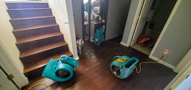 Best 24/7 water damage repair  in Eagle Lake, FL