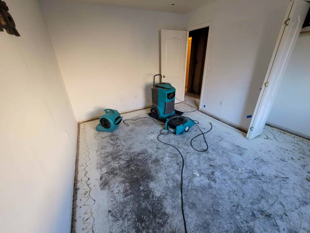 Water damage restoration insurance claims in FL