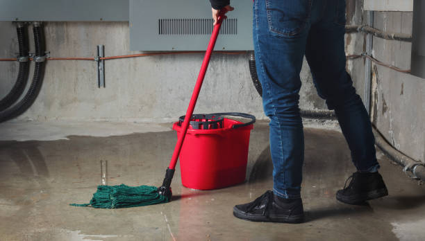Best 24-hour water damage restoration  in Eagle Lake, FL