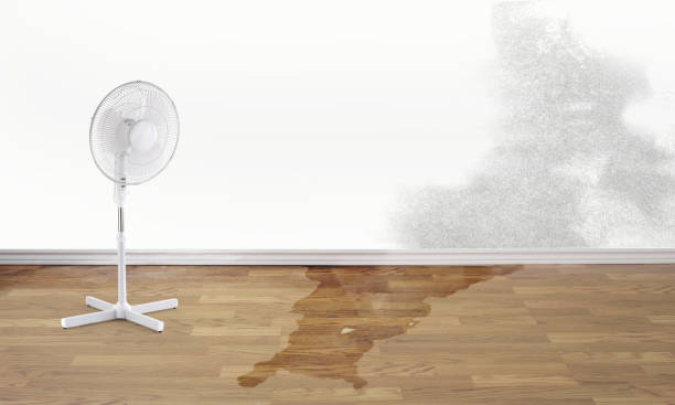 Best 24-hour water damage restoration  in Eagle Lake, FL