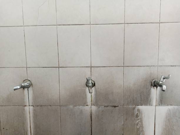Best 24/7 water damage repair  in Eagle Lake, FL