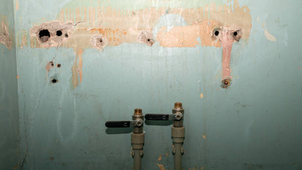 Best Sewage cleanup and water damage restoration  in Eagle Lake, FL